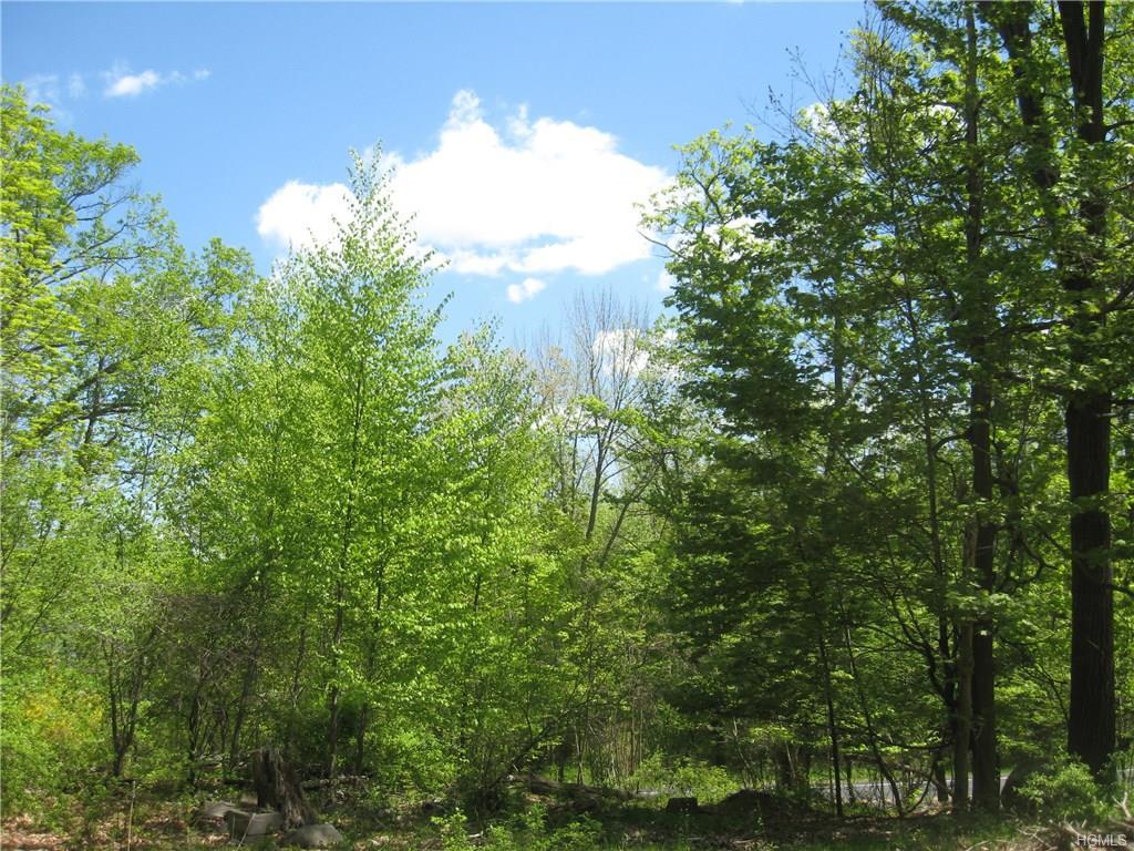 Lot 2 Mombasha Road - Photo 1