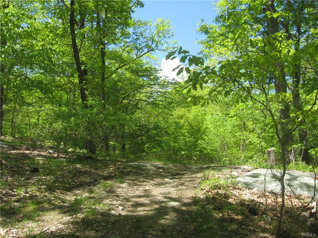Lot 3 Mombasha Road - Photo 1