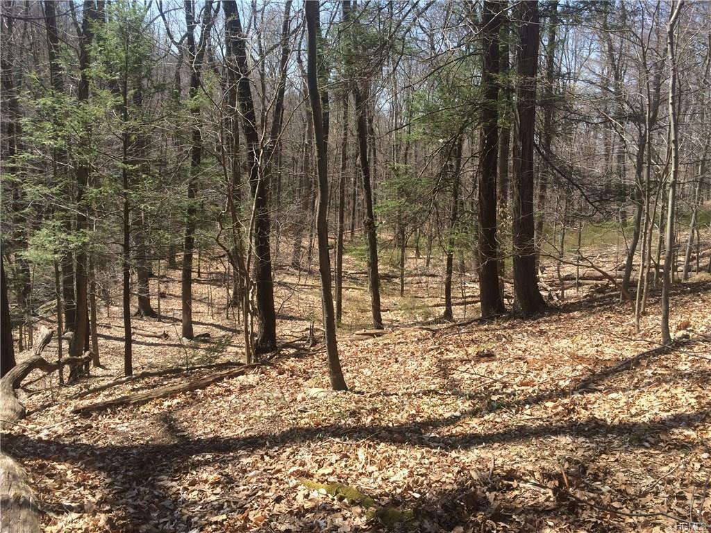 435 Mineral Springs Road - Photo 1
