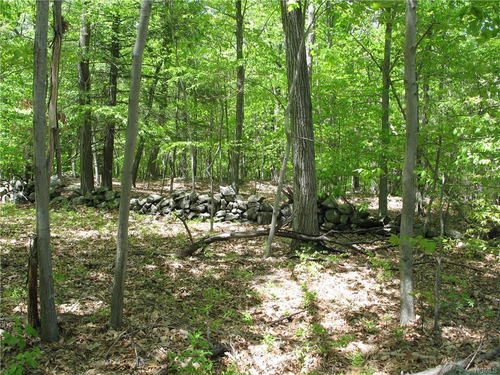 153 Shindagen Hill Road - Photo 1