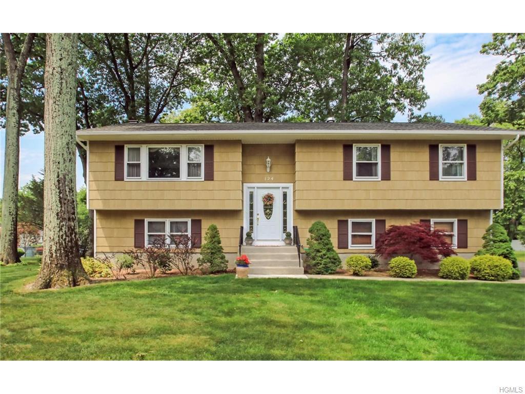 124 Gatto Lane, Pearl River, NY 10965 (MLS #4623630) :: William Raveis Legends Realty Group