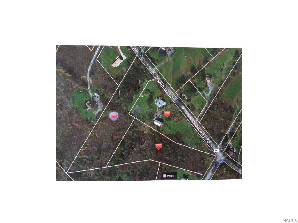 Lot 1 Mckinstry Road - Photo 1