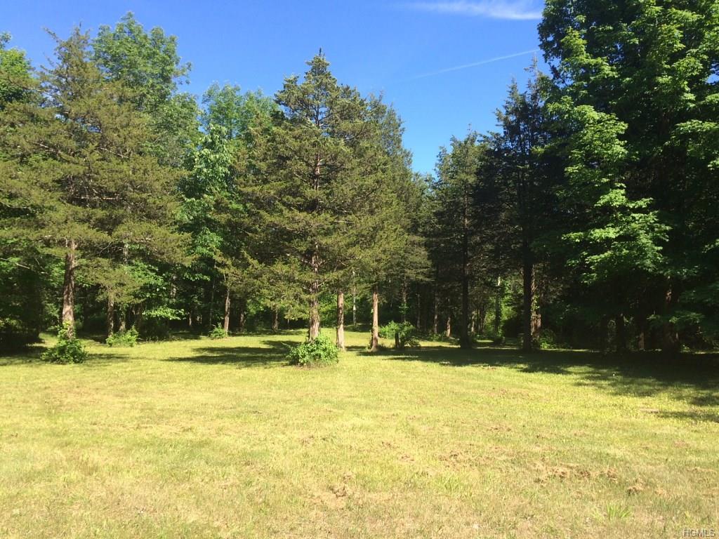 Cedar Lane, Wingdale, NY 12594 (MLS #4628068) :: William Raveis Legends Realty Group
