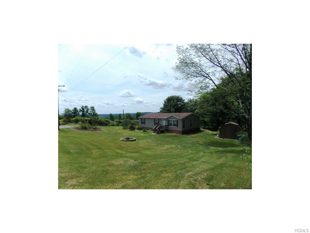 690 Fox Mountain Road, Livingston Manor, NY 12758 (MLS #4630364) :: William Raveis Legends Realty Group