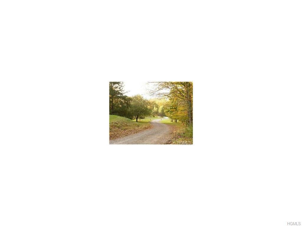 TBD Nys Route 32 - Photo 1