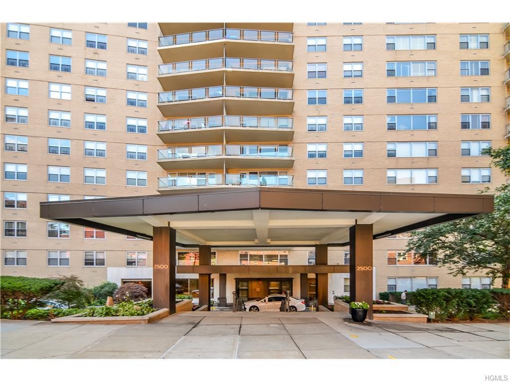2500 Johnson Avenue 1G, Bronx, NY 10463 (MLS #4632309) :: William Raveis Legends Realty Group