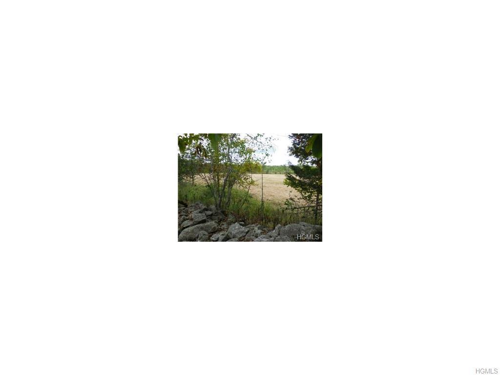 556 Howells Turnpike - Photo 1