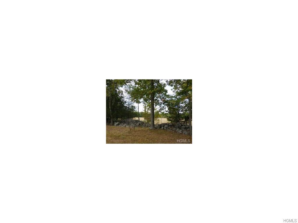 534 & 556 Howells Turnpike - Photo 1