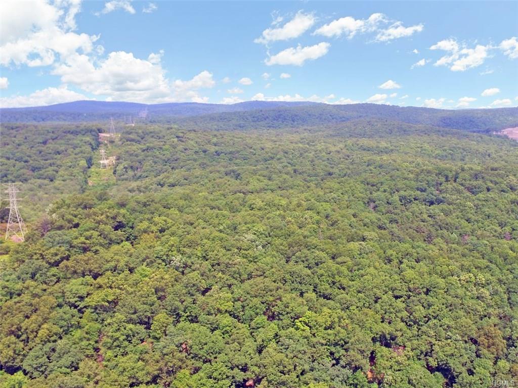 173 Orange Turnpike - Photo 1