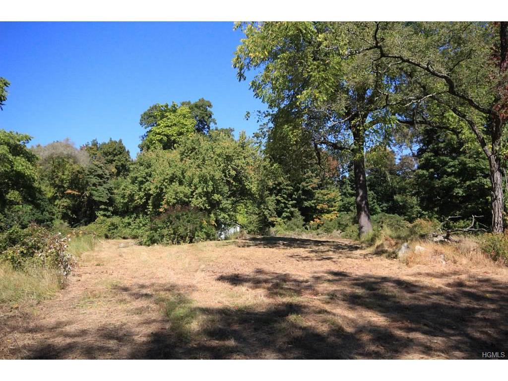 54 Foundry Pond Road, Cold Spring, NY 10516 (MLS #4634703) :: William Raveis Legends Realty Group