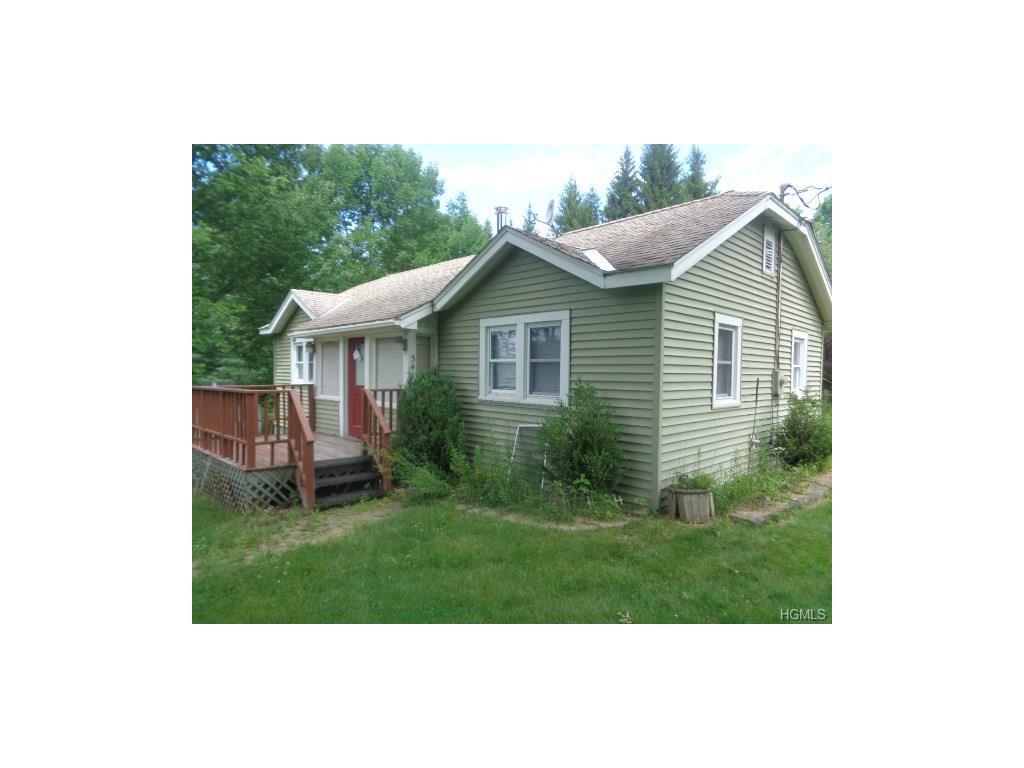 341 Hamilton Road, Monticello, NY 12701 (MLS #4635889) :: William Raveis Legends Realty Group