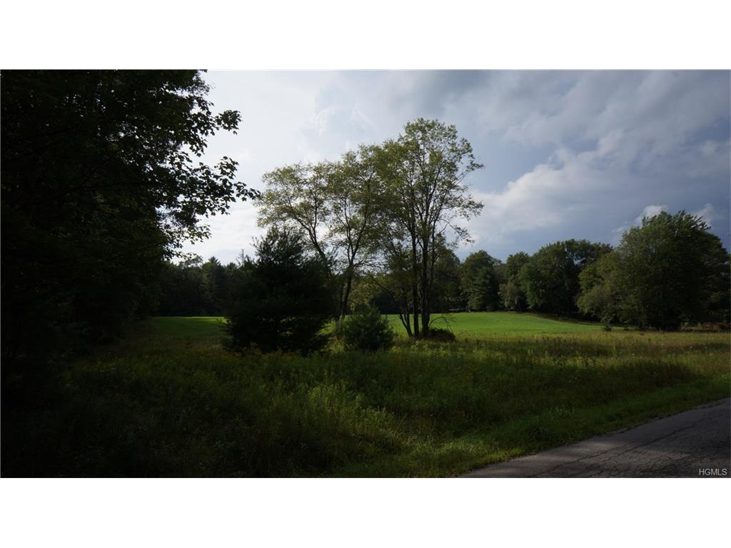 Segar & Rosenberg Road - Photo 1