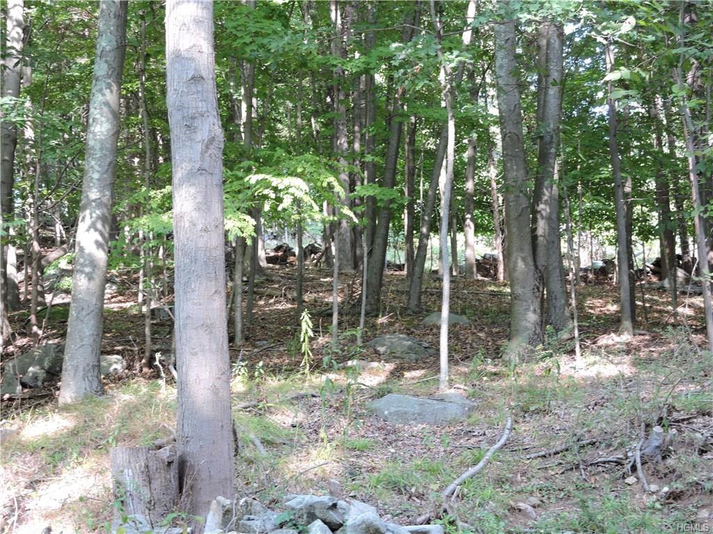 Kramers Pond Road - Photo 1