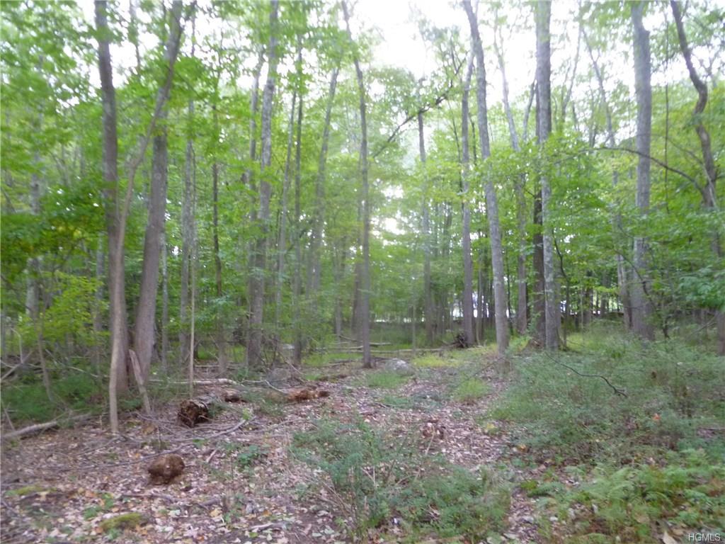 4 Lakeview Road - Photo 1