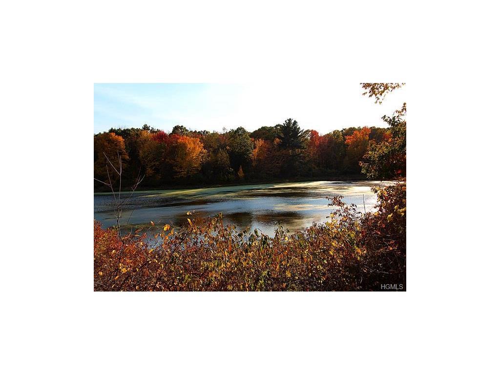 Cold Spring Road - Photo 1
