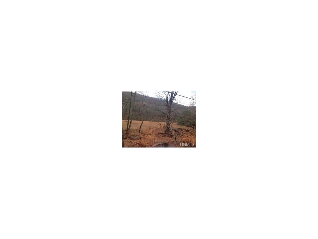 Mountaindale Road - Photo 1
