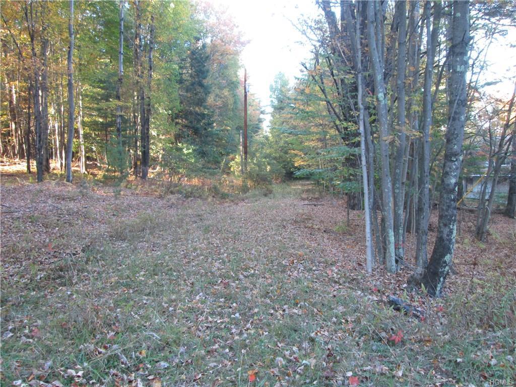 TBD Spook Hole Road - Photo 1