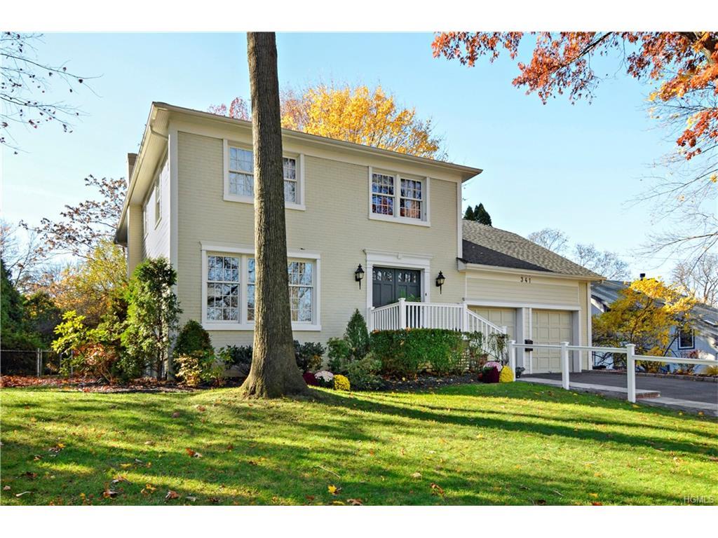341 Orienta Avenue, Mamaroneck, NY 10543 (MLS #4653088) :: William Raveis Legends Realty Group