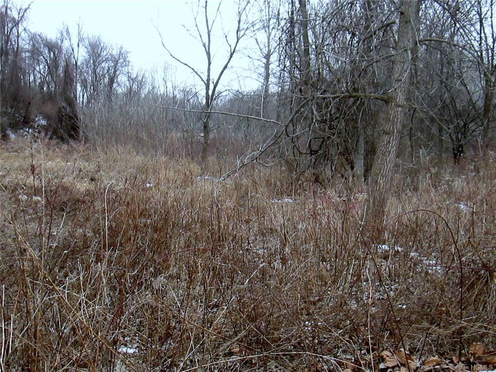 Ten Mile River Road - Photo 1