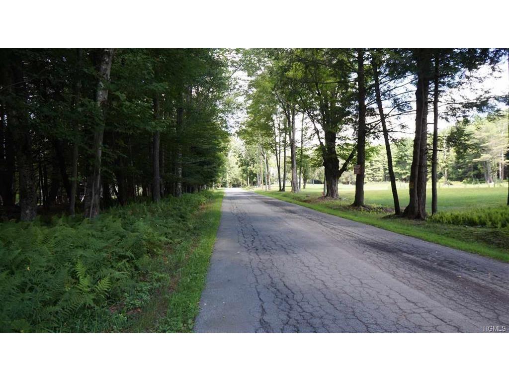 10.13 Perry Road Tr 72 - Photo 1