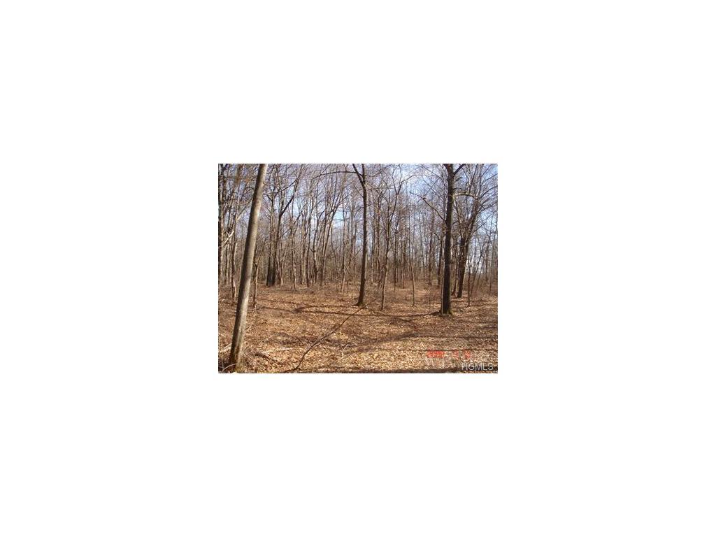 28 Woodlands Trail - Photo 1