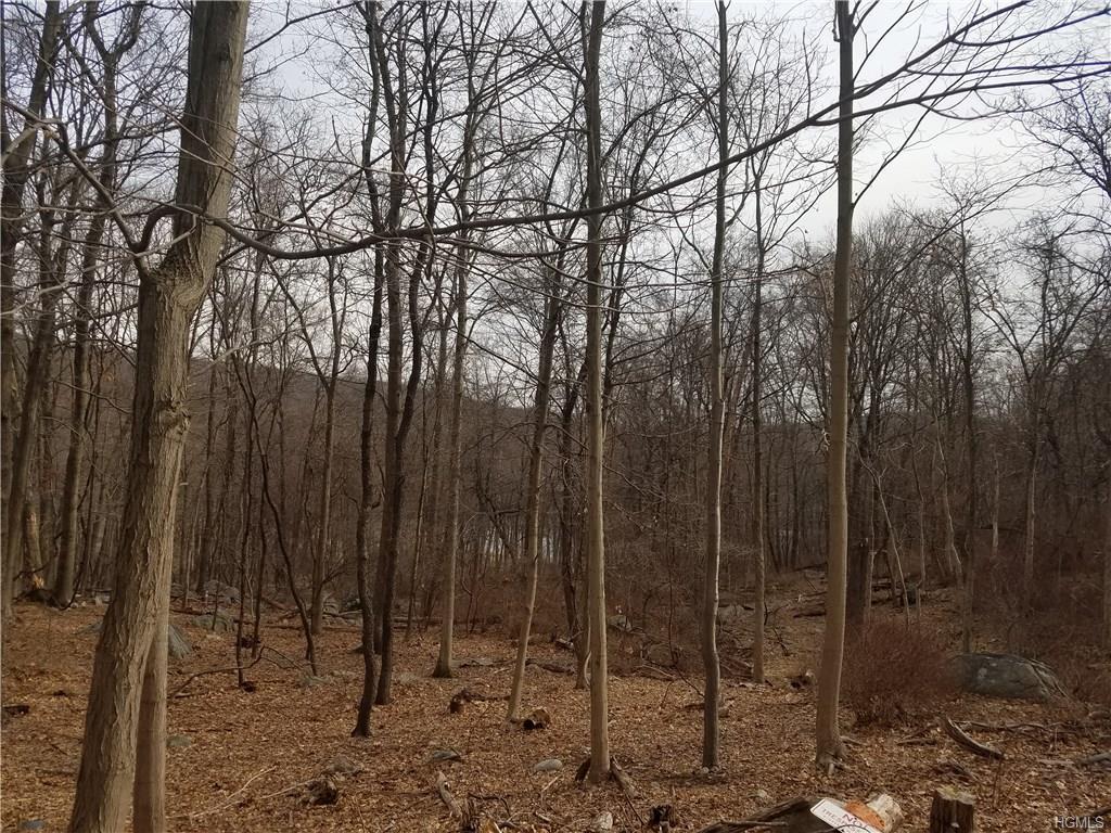 191 Cedar Flats Road - Photo 1