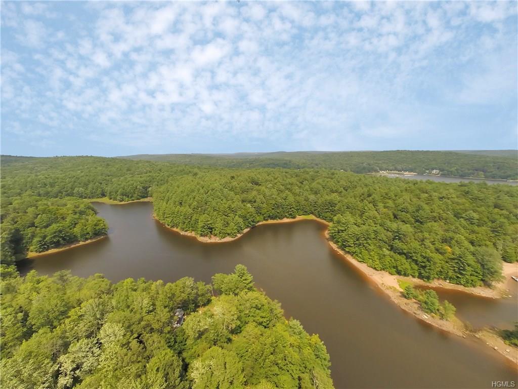 TBD Pine Grove Road - Photo 1