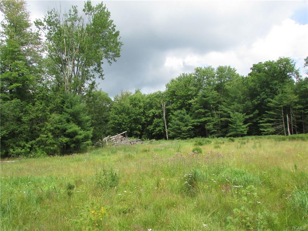 390 County Route 56 - Photo 1