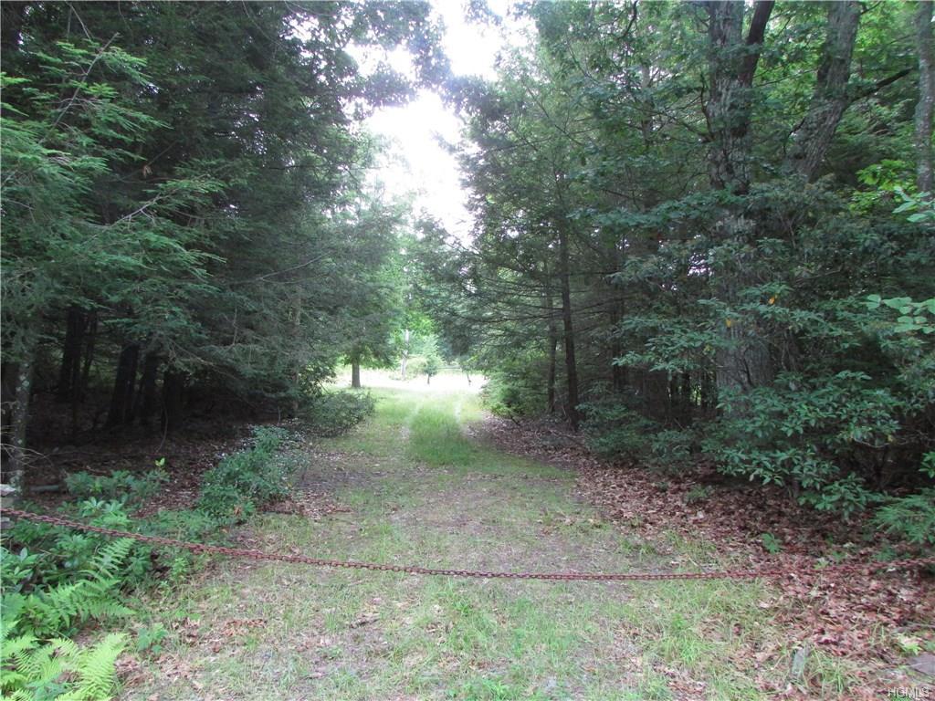 Fox Hill Road Tr 55 - Photo 1
