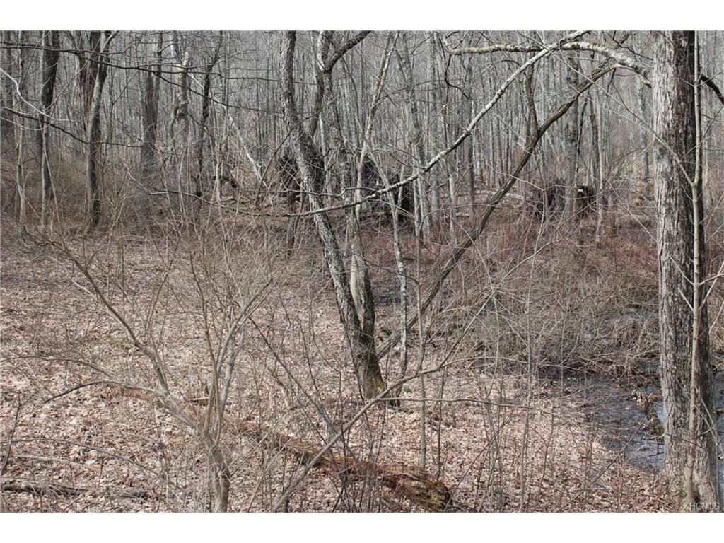 Clinton Avenue - Photo 1
