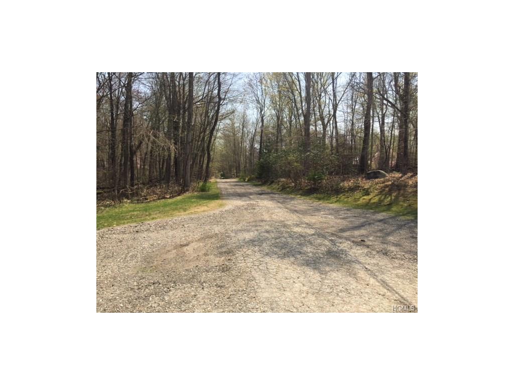 Birch Road - Photo 1