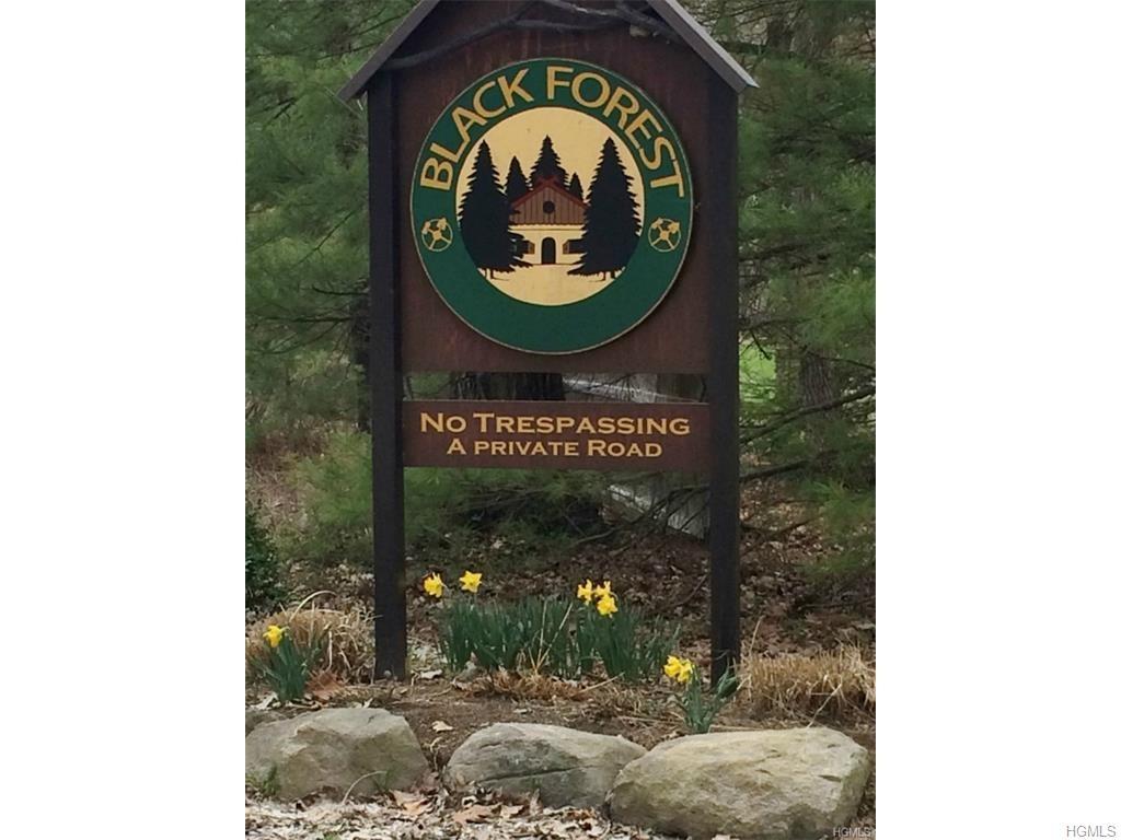 Main Black Forest Road - Photo 1