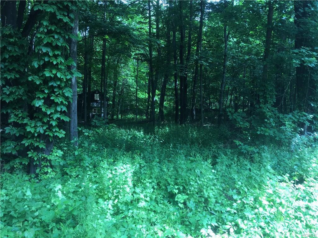 Sarvis - Photo 1