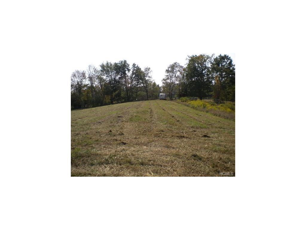 259 Howells Turnpike - Photo 1