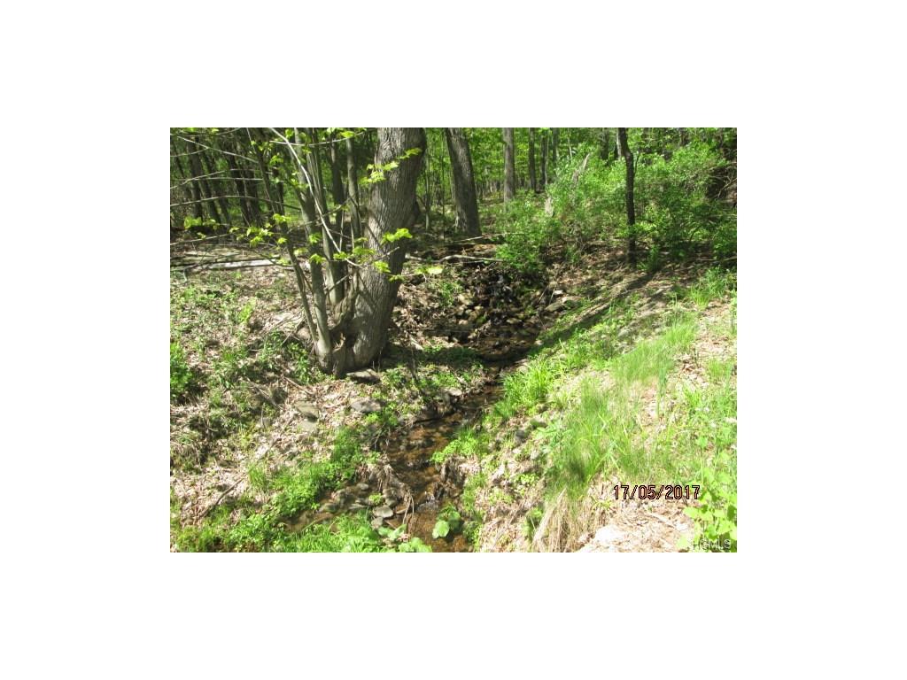 Hessinger Lare Road - Photo 1