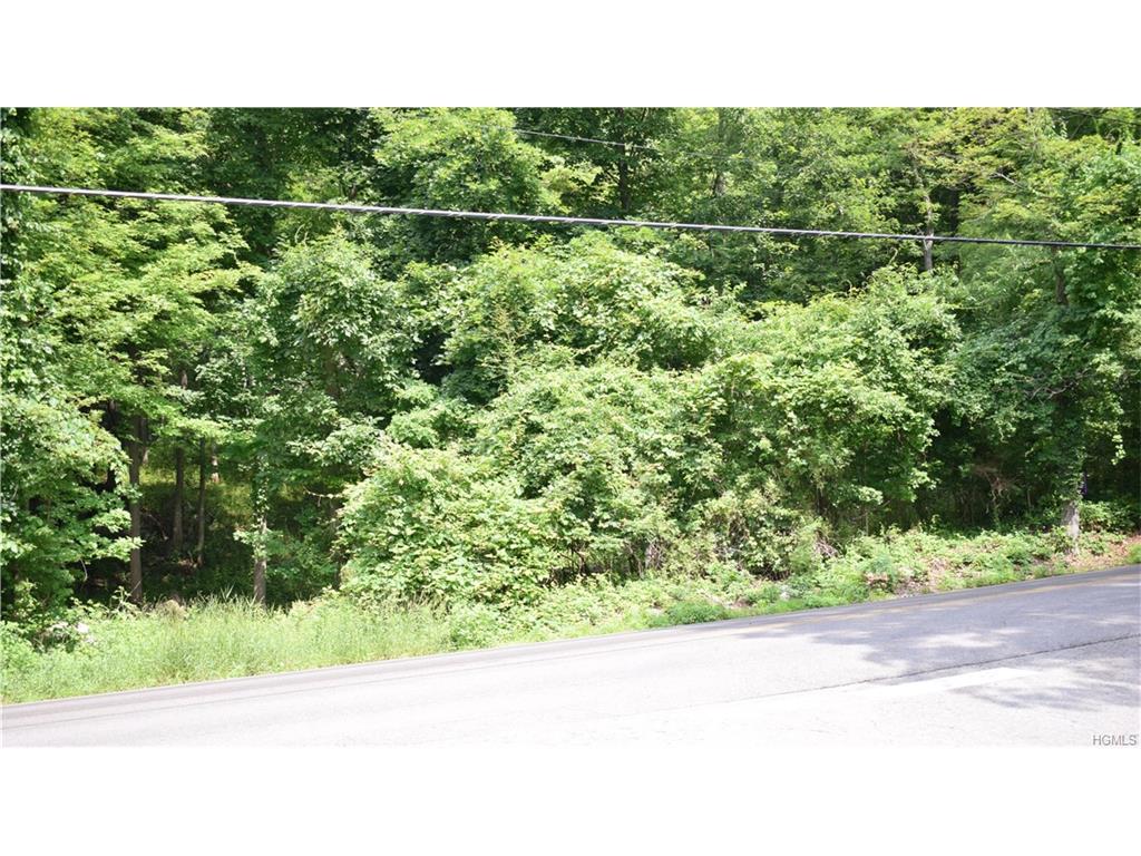 Oscawana Lake Road - Photo 1