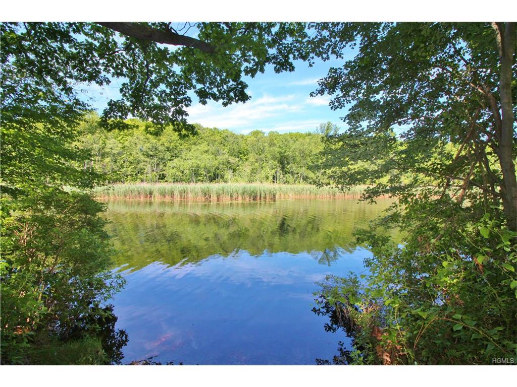 61 Kirk Lake Drive - Photo 1
