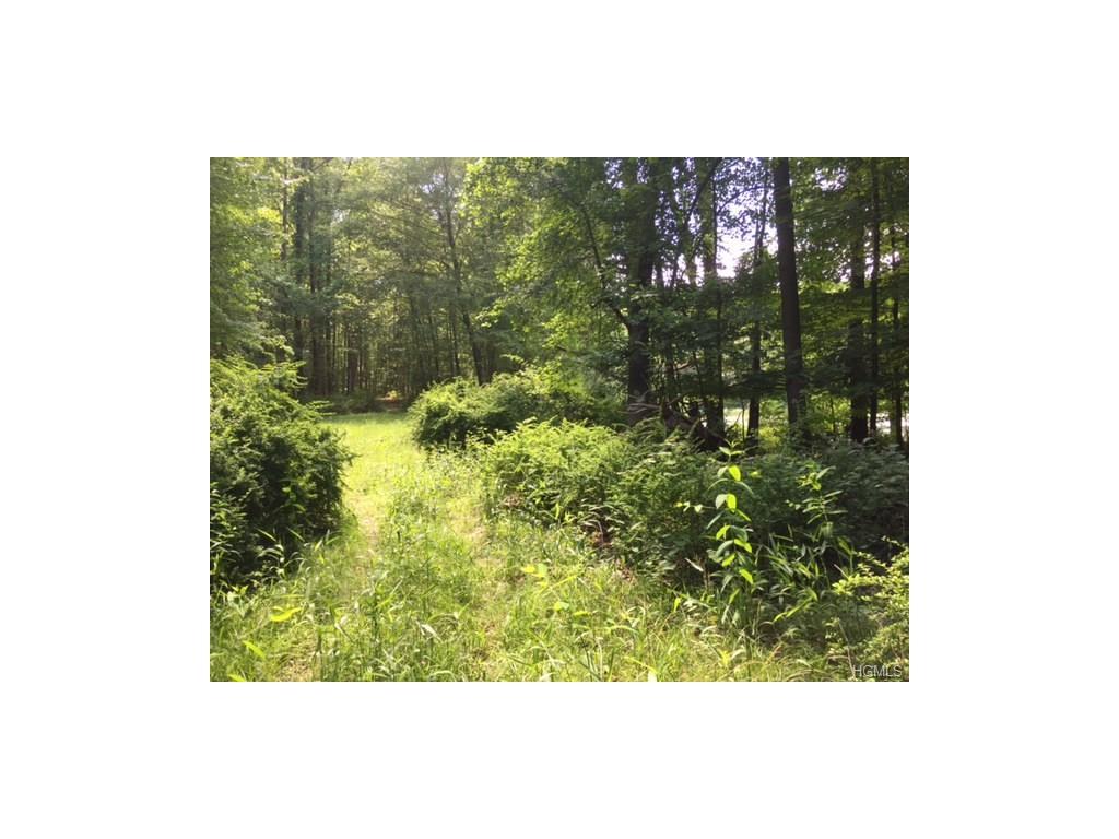 53 Mount Airy Road - Photo 1