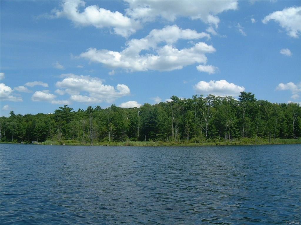 York Lake Estates Road - Photo 1