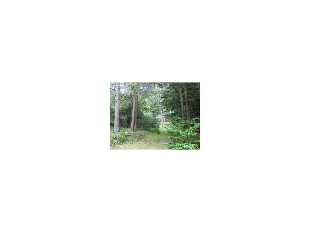 369 Pine Kill Road - Photo 1