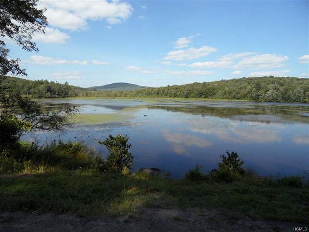 Shore Road Road - Photo 1