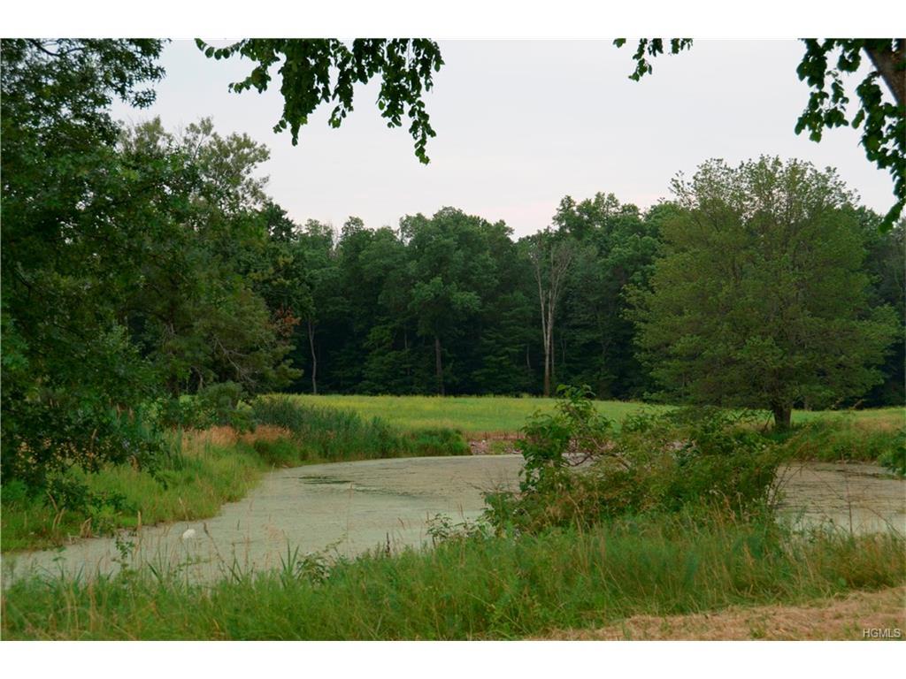 TBD Lybolt Road - Photo 1