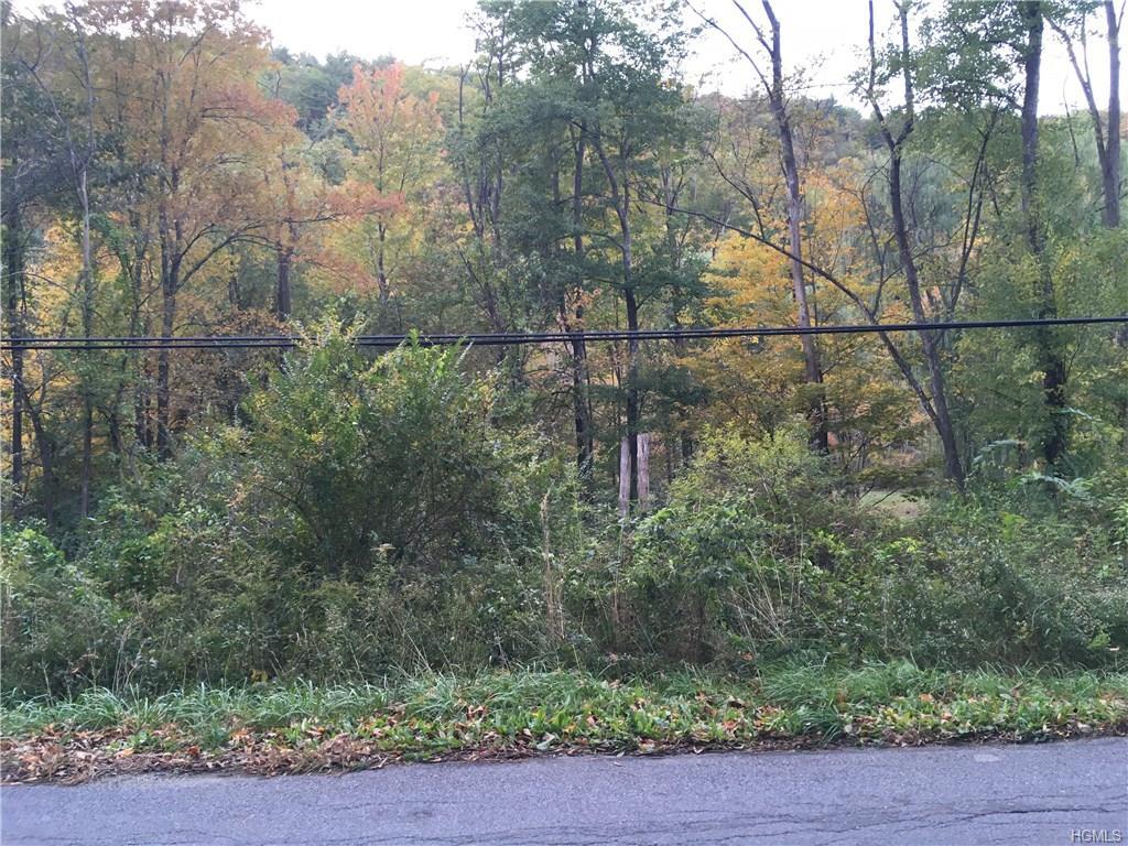 Old Pawling Road - Photo 1