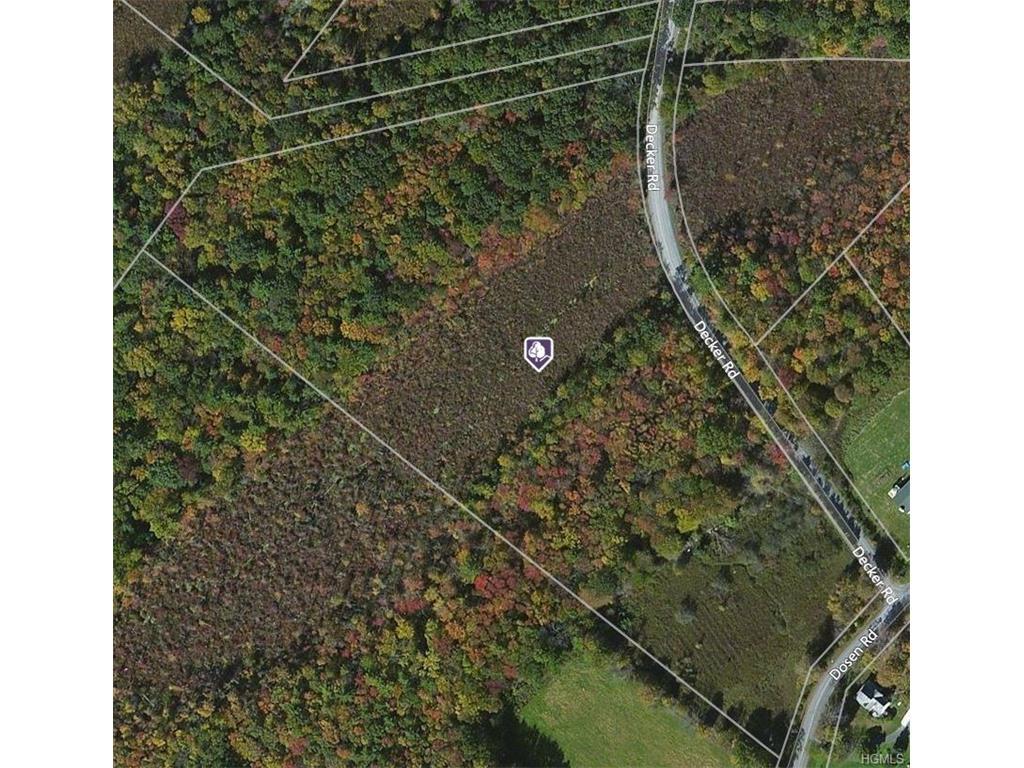 TBD Dosen Rd/Decker Road - Photo 1
