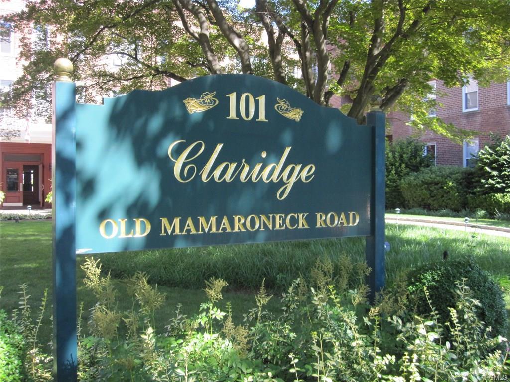 101 Old Mamaroneck Road - Photo 1