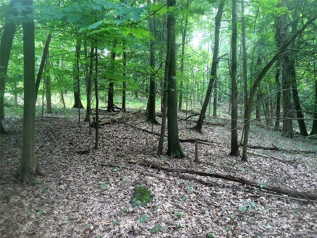 Smithtown Road - Photo 1