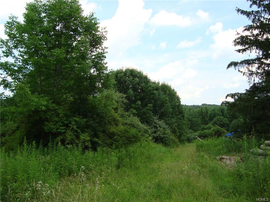 1A Route 55 - Photo 1