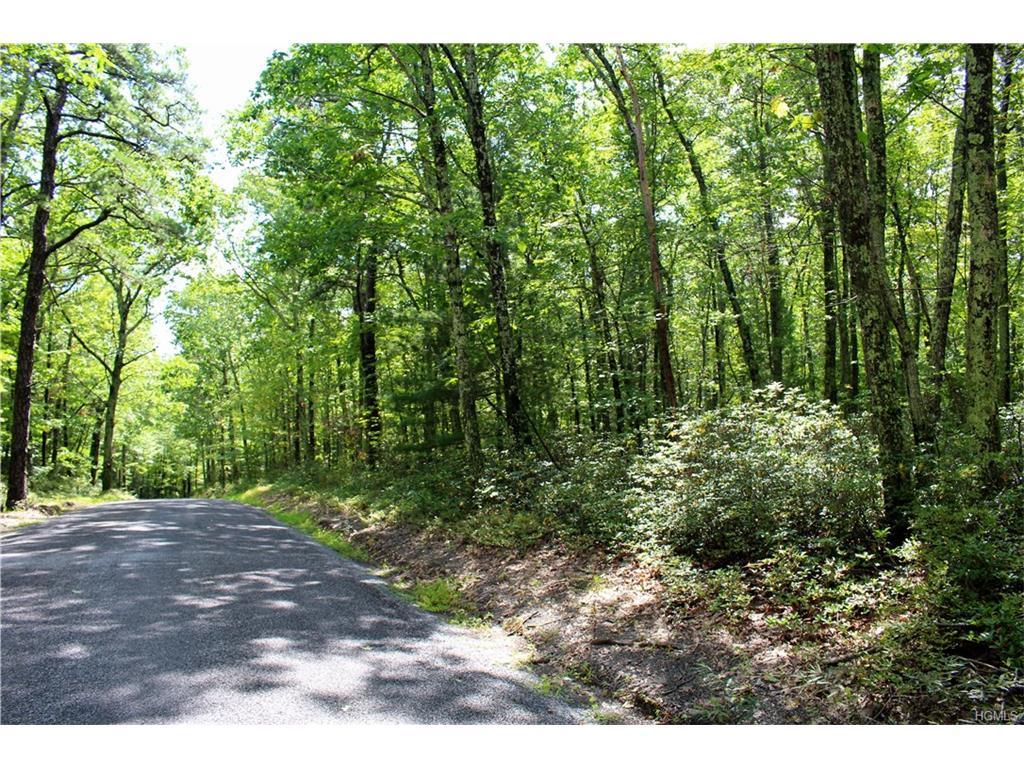 Schroon Hill Road - Photo 1
