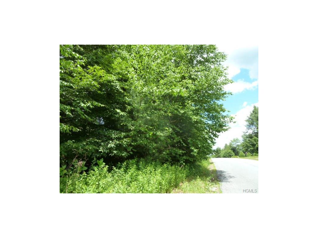 64 Roslyn Ridge Road - Photo 1