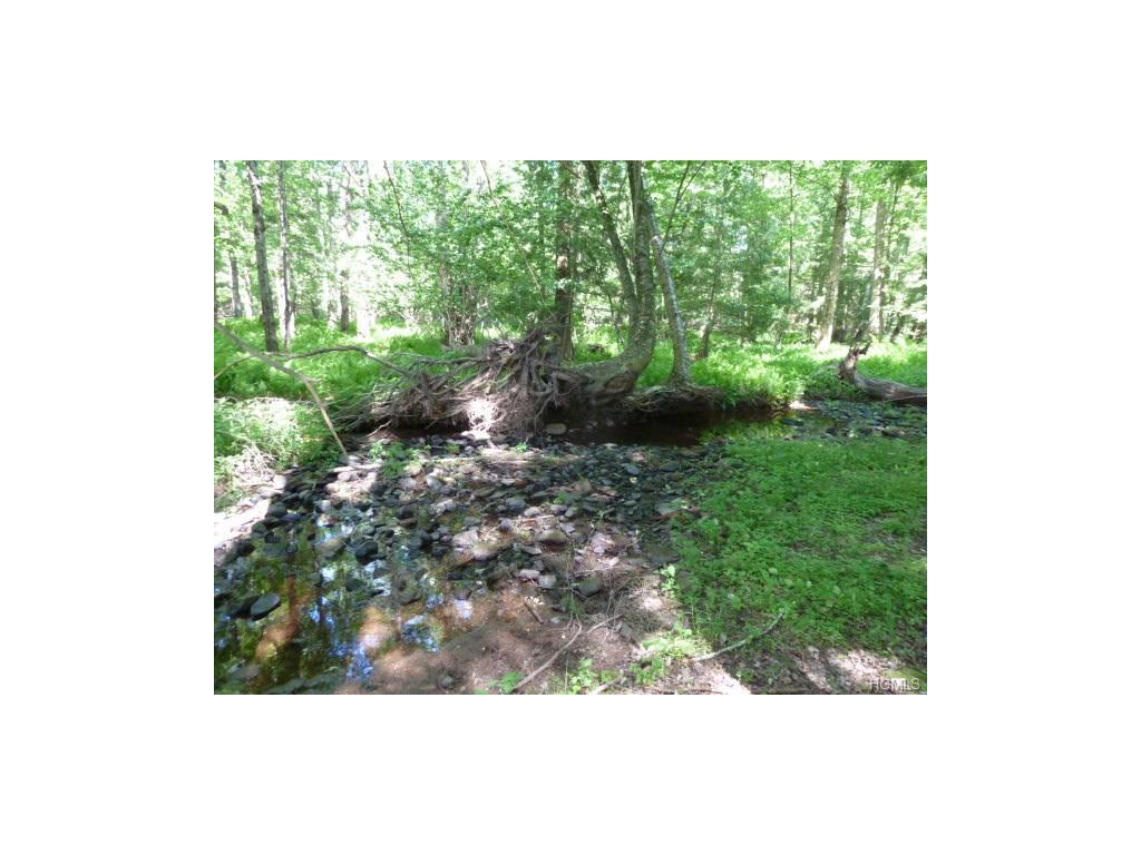 Shortcut & Bernas Road - Photo 1